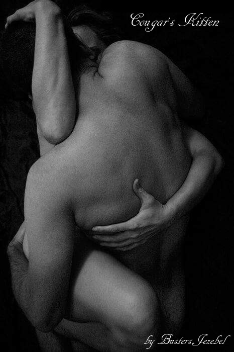 cougars kitten